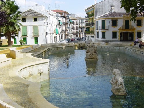 13.01.010. Fuente del Rey de Priego.