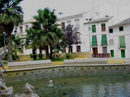 13.01.018. Fuente del Rey de Priego.