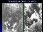 03.02.50. De paseo por el campo.