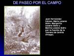 03.02.51. De paseo por el campo.