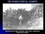 03.02.52. De paseo por el campo.