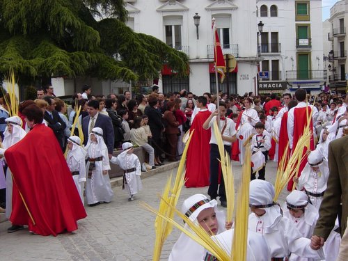 15.01.07. La Pollinica. Domingo de Ramos. Semana Santa.