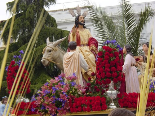 15.01.17. La Pollinica. Domingo de Ramos. Semana Santa.