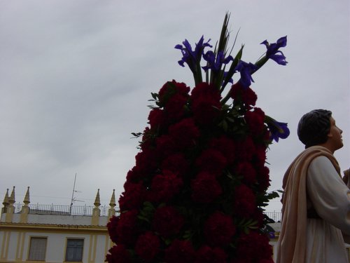 15.01.18. La Pollinica. Domingo de Ramos. Semana Santa.