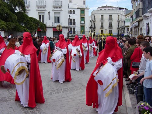 15.01.26. La Pollinica. Domingo de Ramos. Semana Santa.