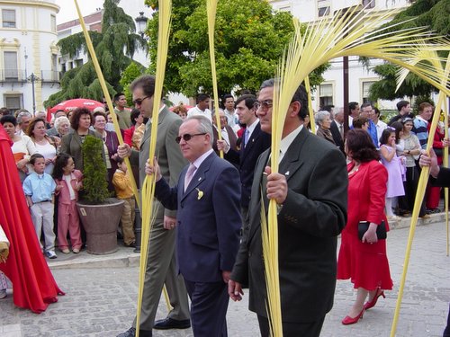 15.01.28. La Pollinica. Domingo de Ramos. Semana Santa.