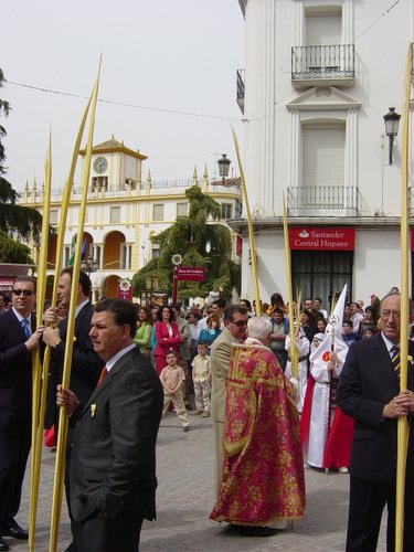 15.01.79. La Pollinica. Domingo de Ramos. Semana Santa.