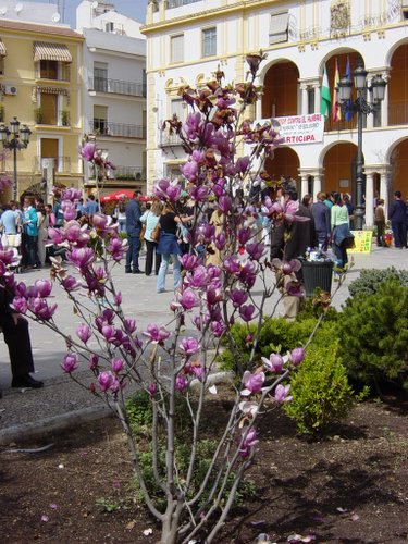 24.02.143. El Paseíllo. La plaza del pueblo.