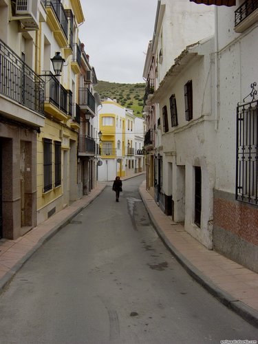 25.05.012.  De Cañamero a la Casería Buena Vista. Priego. 2006.