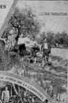 06.09.04. A la casa de insectos. Excursiones culturales. Curso 1933-1934.