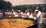 1989. XIII Romería Virgen de la Cabeza. 18 junio 1989. Arroyo Luna.