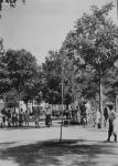 25.19.01.009.  Plaza de Cánovas del Castillo. Paseíllo. (F. Francisco Calvo).