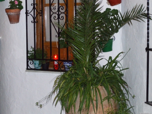 15.12.01.05. Vía Crucis de la Caridad. Semana Santa, 2007. Priego.