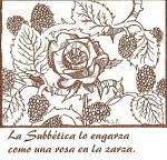 07.01.03. La Subbética lo engarza como una rosa en la zarza.