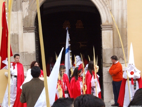 15.12.04.010. La Pollinica. Semana Santa, 2007. Priego de Córdoba.