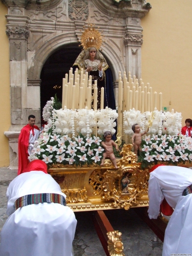 15.12.04.021. La Pollinica. Semana Santa, 2007. Priego de Córdoba.