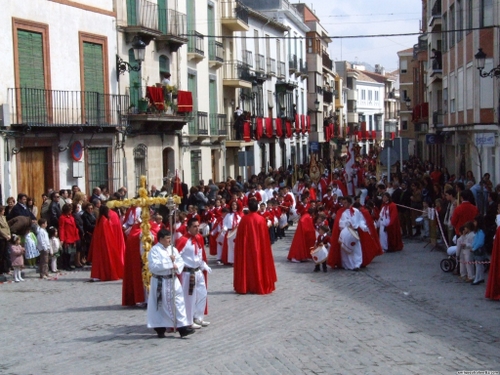 15.12.04.042. La Pollinica. Semana Santa, 2007. Priego de Córdoba.