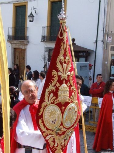 15.12.04.056. La Pollinica. Semana Santa, 2007. Priego de Córdoba.