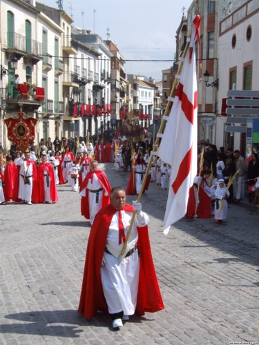 15.12.04.060. La Pollinica. Semana Santa, 2007. Priego de Córdoba.