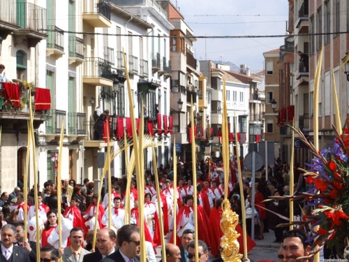 15.12.04.075. La Pollinica. Semana Santa, 2007. Priego de Córdoba.