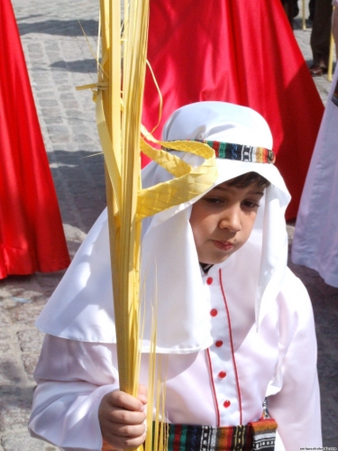 15.12.04.076. La Pollinica. Semana Santa, 2007. Priego de Córdoba.