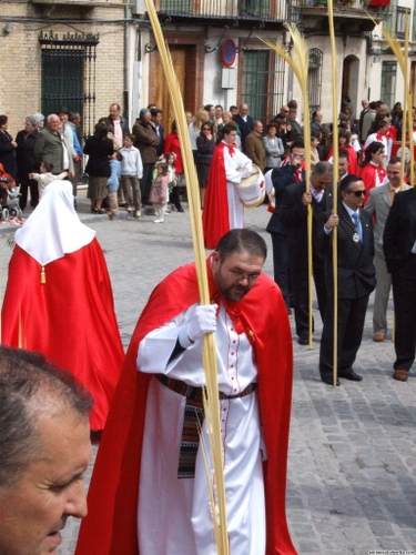 15.12.04.081. La Pollinica. Semana Santa, 2007. Priego de Córdoba.