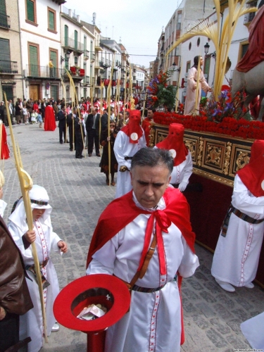 15.12.04.082. La Pollinica. Semana Santa, 2007. Priego de Córdoba.