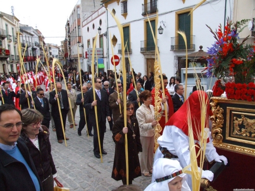 15.12.04.087. La Pollinica. Semana Santa, 2007. Priego de Córdoba.