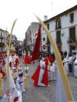 15.12.04.106. La Pollinica. Semana Santa, 2007. Priego de Córdoba.