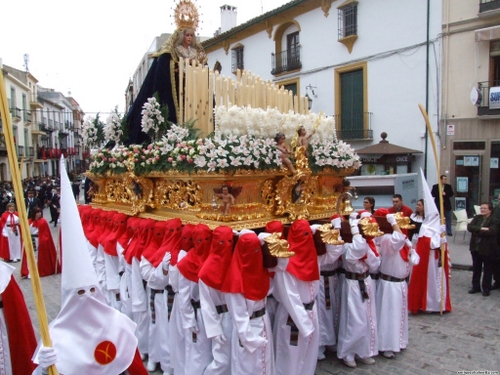 15.12.04.113. La Pollinica. Semana Santa, 2007. Priego de Córdoba.