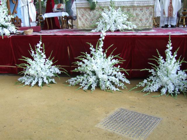 16.02.170. Hermandad de la Caridad. 275º Aniversario. Mayo. Priego, 2007.