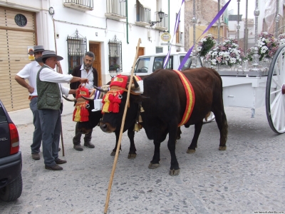 17.01.27. Hermandad del Rocío. Mayo, 2007. Priego.