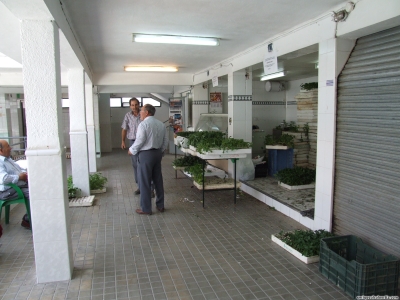 13.07.41. Mercado Municipal de Abastos. Priego, 2007.