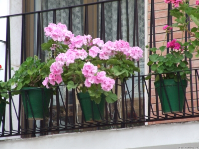 25.15.185. Calle del Río. Priego de Córdoba, 2007.