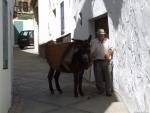 25.23.091. Mesones, Puertas Nuevas, Horno Acequia, Montenegro y Torrejón. Priego, 2007.