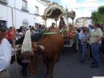 17.03.142.  Romería Virgen de la Cabeza. Priego, 2007.