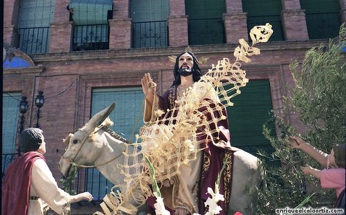 La Pollinica. 1988. Priego. Foto, Arroyo Luna.