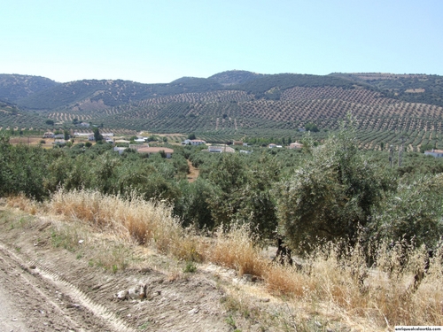 11.10.01.75. Las Navas. Priego, 2007.