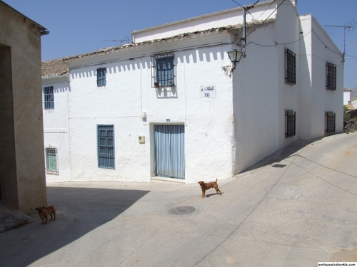 11.11.01.085. El Cañuelo. Priego de Córdoba, 2007.