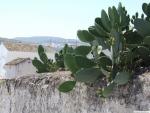 11.12.01.46. Campo Nubes. Priego, 2007.