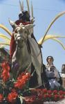 La Pollinica. Domingo de Ramos. 1995. Priego. Foto, Arroyo Luna.