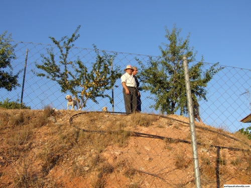 11.17.054. La Vega y el Rihuelo. Priego, 2007.