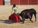 18.09.188. Feria Real. Novillada con picadores. Priego, 2007.