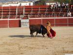 18.09.195. Feria Real. Novillada con picadores. Priego, 2007.