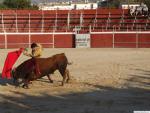 18.09.201. Feria Real. Novillada con picadores. Priego, 2007.