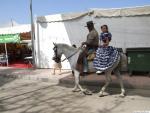 18.09.265. Feria Real.Gente y escenas. Priego, 2007.