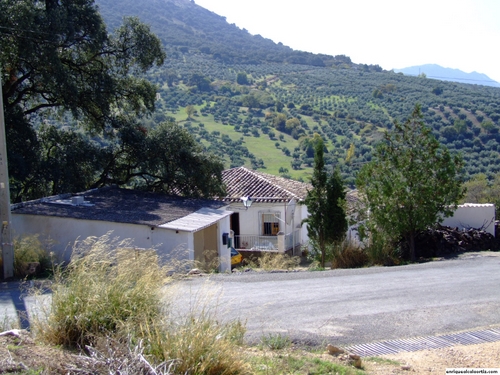 11.23.02. De Jaula a Fuente Barea. Priego de Córdoba.
