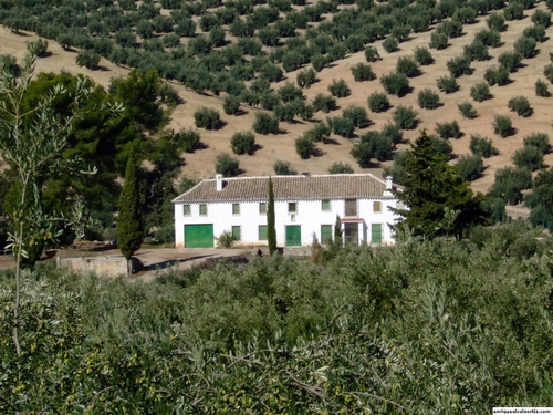 11.24.55. El Salado. Priego de Córdoba.