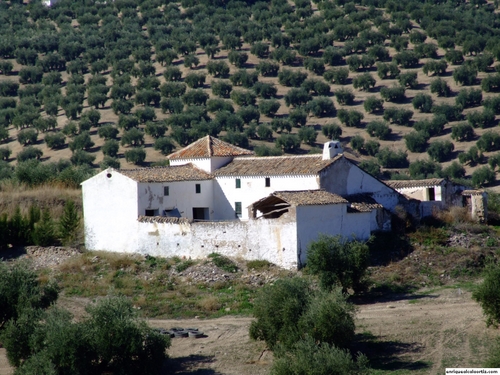 11.24.57. El Salado. Priego de Córdoba.