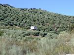 11.26. 40. Camino de La Milana y Navasequilla. Priego de Córdoba.